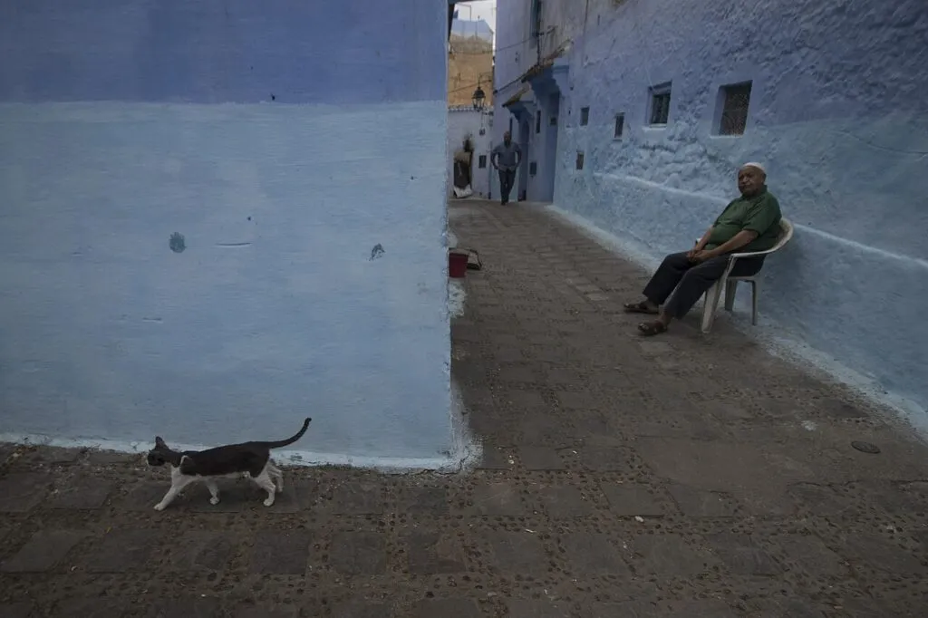 Ruelles bleues de Chefchaouen lors d'un circuit Chefchaouen et désert Ruelles bleues de Chefchaouen lors d'un circuit Chefchaouen et désert