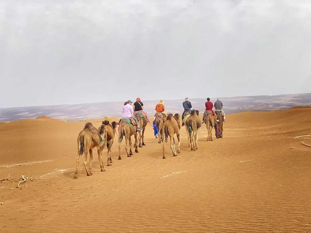 Remote dunes of Erg Chigaga near M'Hamid in the Moroccan Sahara