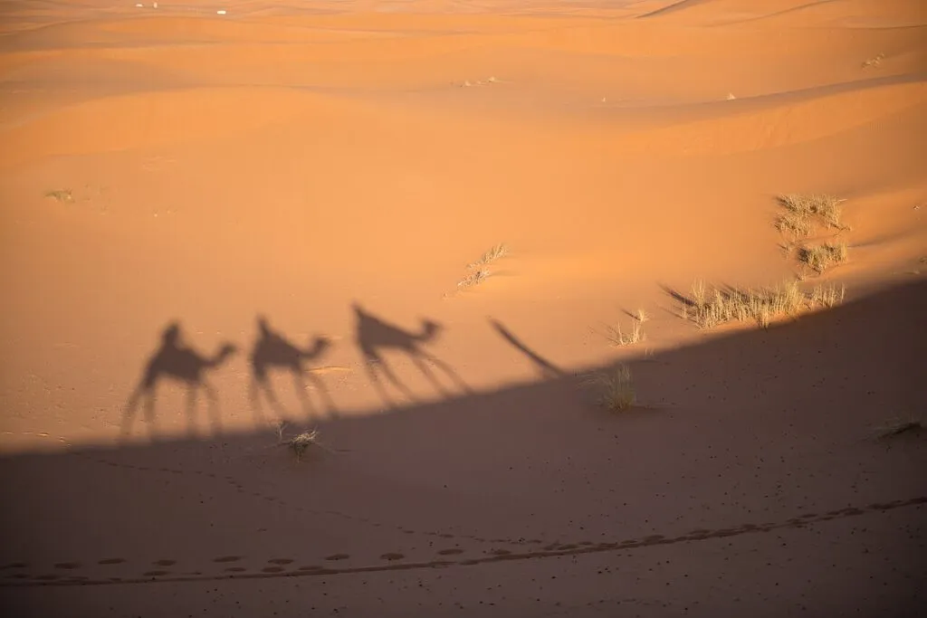 Quand partir dans le désert marocain — Dunes de l'Erg Chebbi au lever du soleil, meilleure période pour le désert marocain