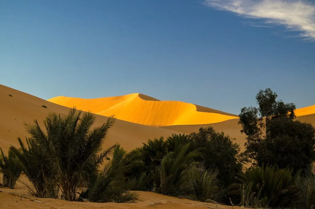 Qué ver y hacer en merzouga — Dunas anaranjadas del Erg Chebbi en Merzouga