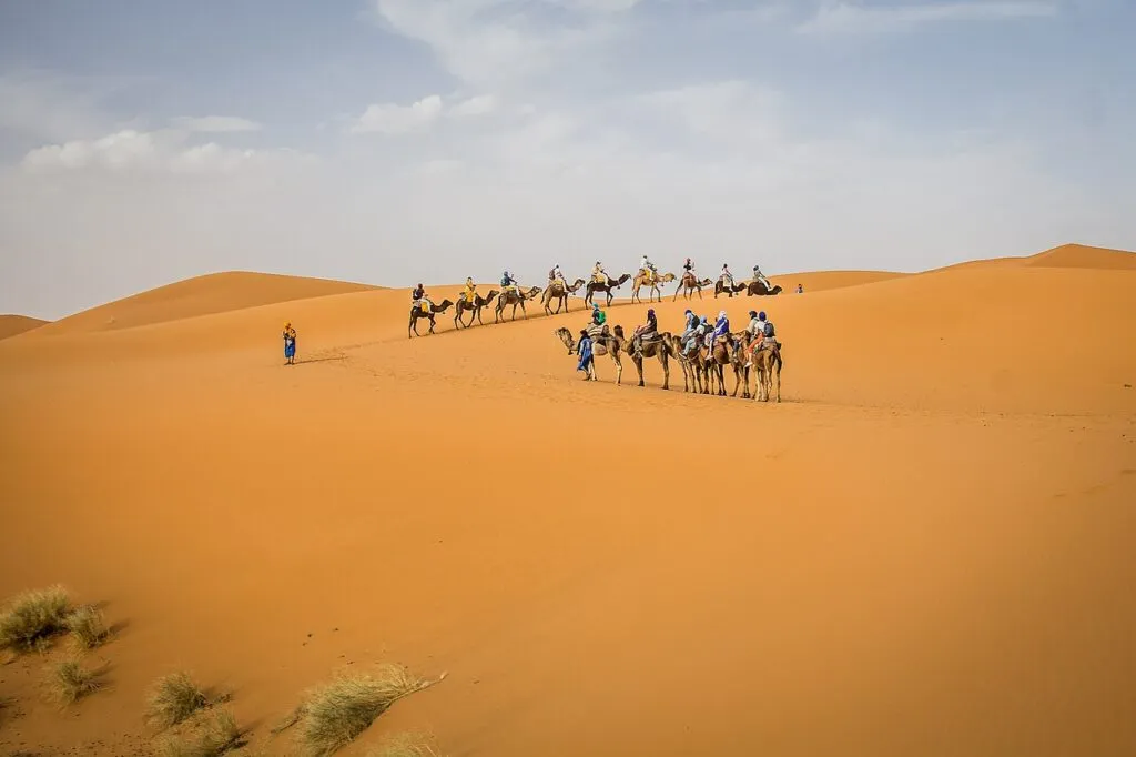 قافلة جمال في كثبان عرق الشبي خلال رحلة الصحراء من مراكش قافلة جمال في كثبان عرق الشبي خلال رحلة الصحراء من مراكش